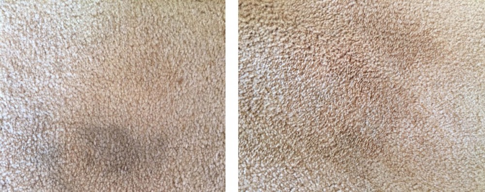 Bissell-before-and-after