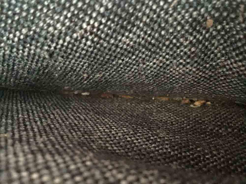 Debris in between the seat cushions of a couch.