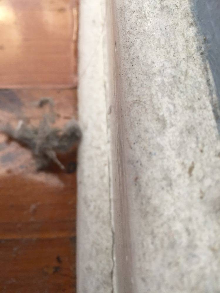 A very dusty timber floor and skirting board.
