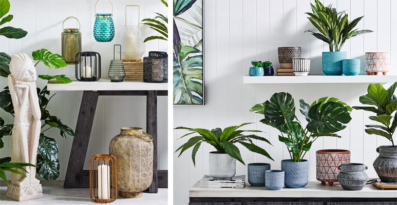 Greenery and Pots - Gift Ideas