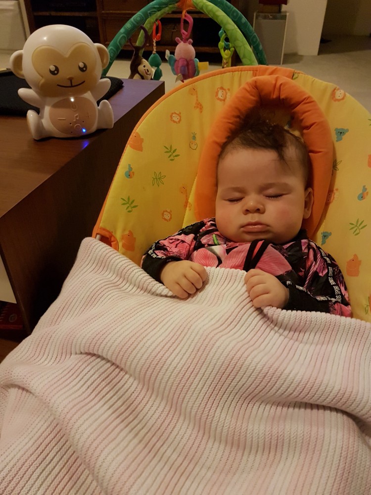 Monkey-Sound-Soother