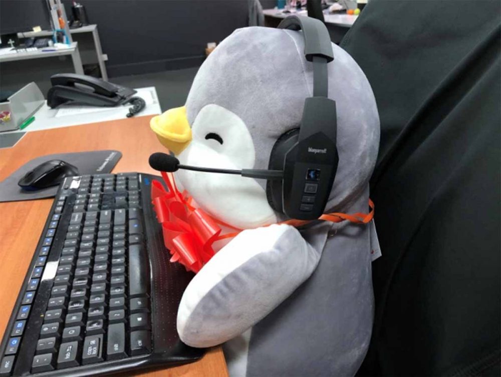 A toy penguin wearing the BlueParrott B450-XT Headset in the office.