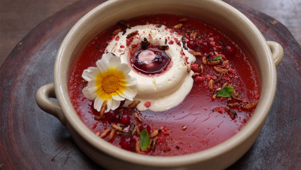Rødgrød Med Fløde Jelly & Ice Cream, as featured on MasterChef Australia.
