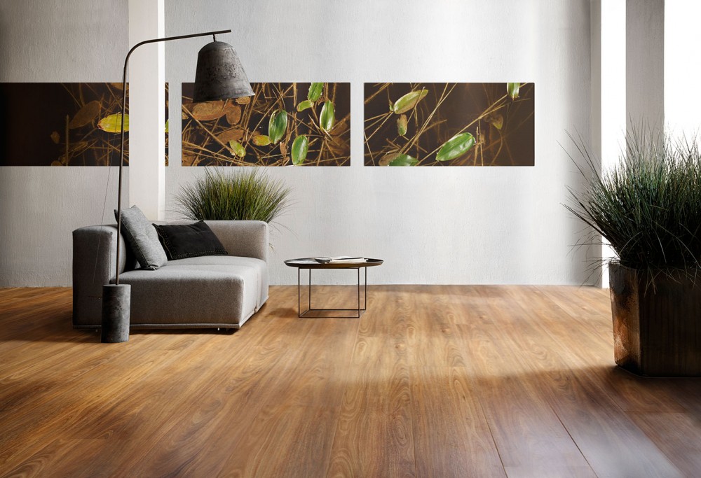 Timber-Impressions-Eucalypt