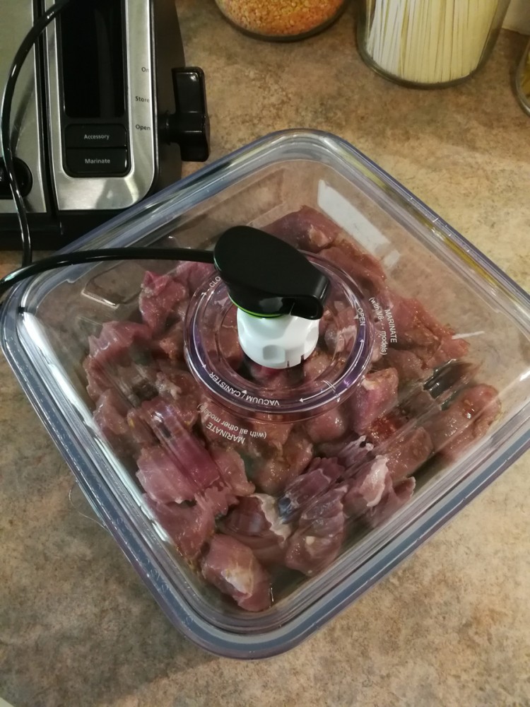 foodsaver-marinating-container