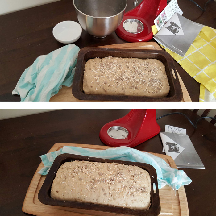 risen-bread-dough