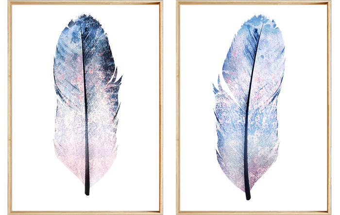soft-blue-feather-prints