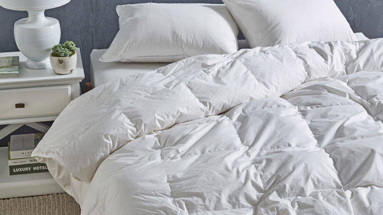Quilt Buying Guide